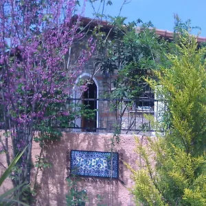 Fig Garden Kayaköy